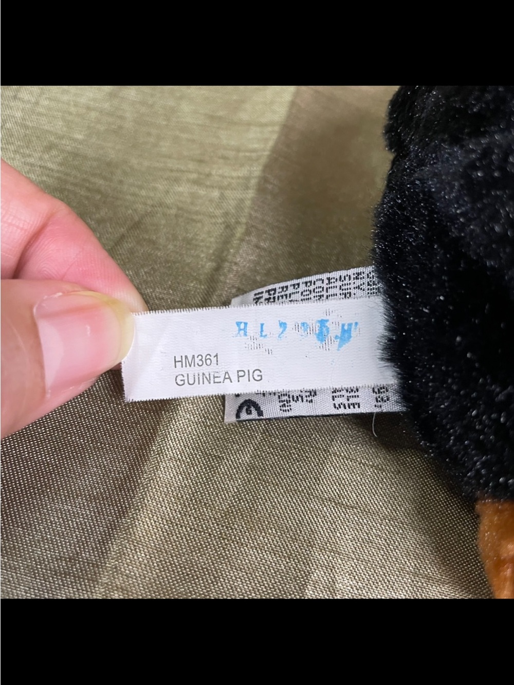 Ganz Webkinz Guinea Pig HM361 Plush Stuffed Animal NO CODE - Preowned - Picture 7 of 7